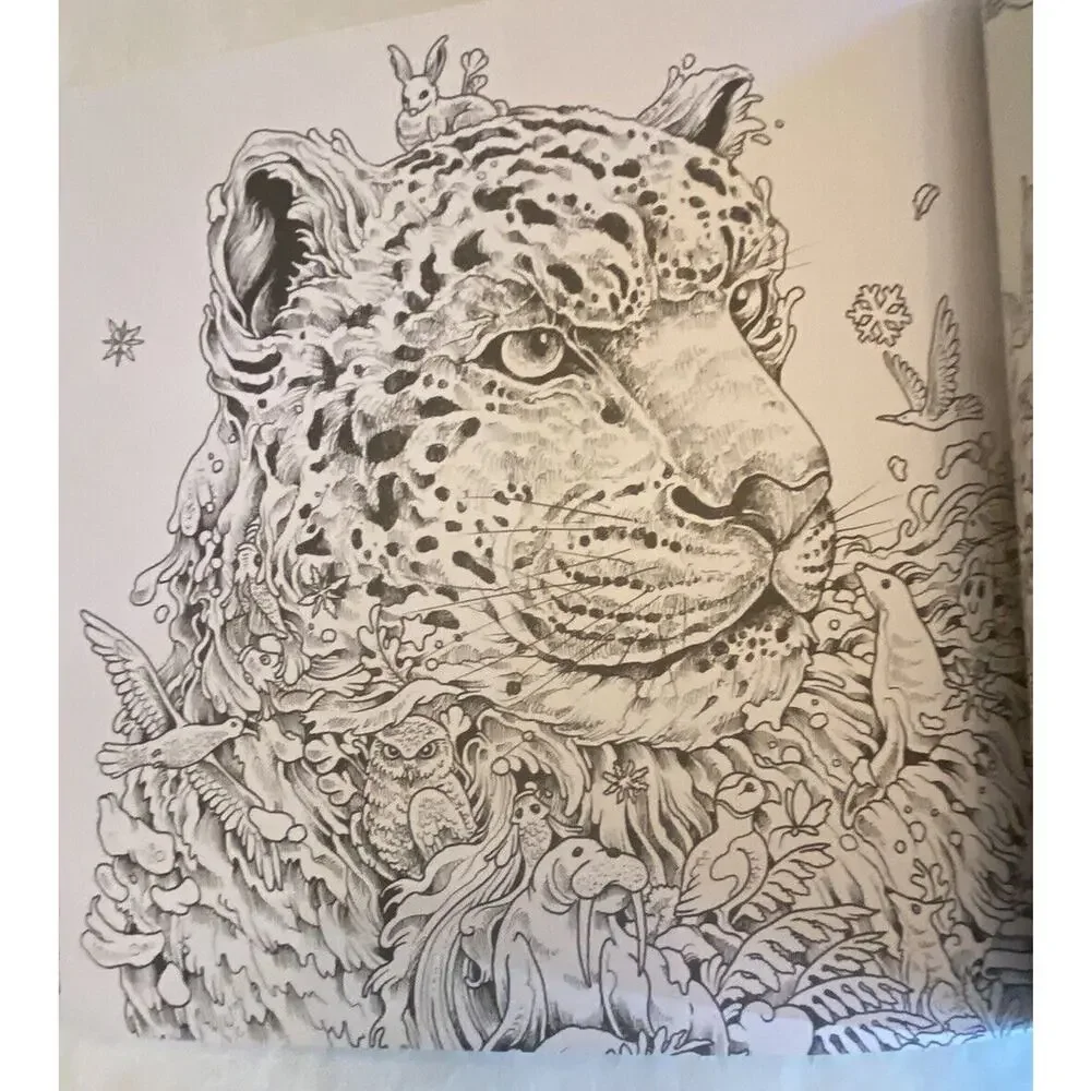 Imagimorphia : An Extreme Coloring and Search Challenge by Kerby Rosanes (2016)